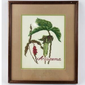 Vntg Finished Framed Cross Stitch Red Flower Arisaema Matted Green Needlepoint